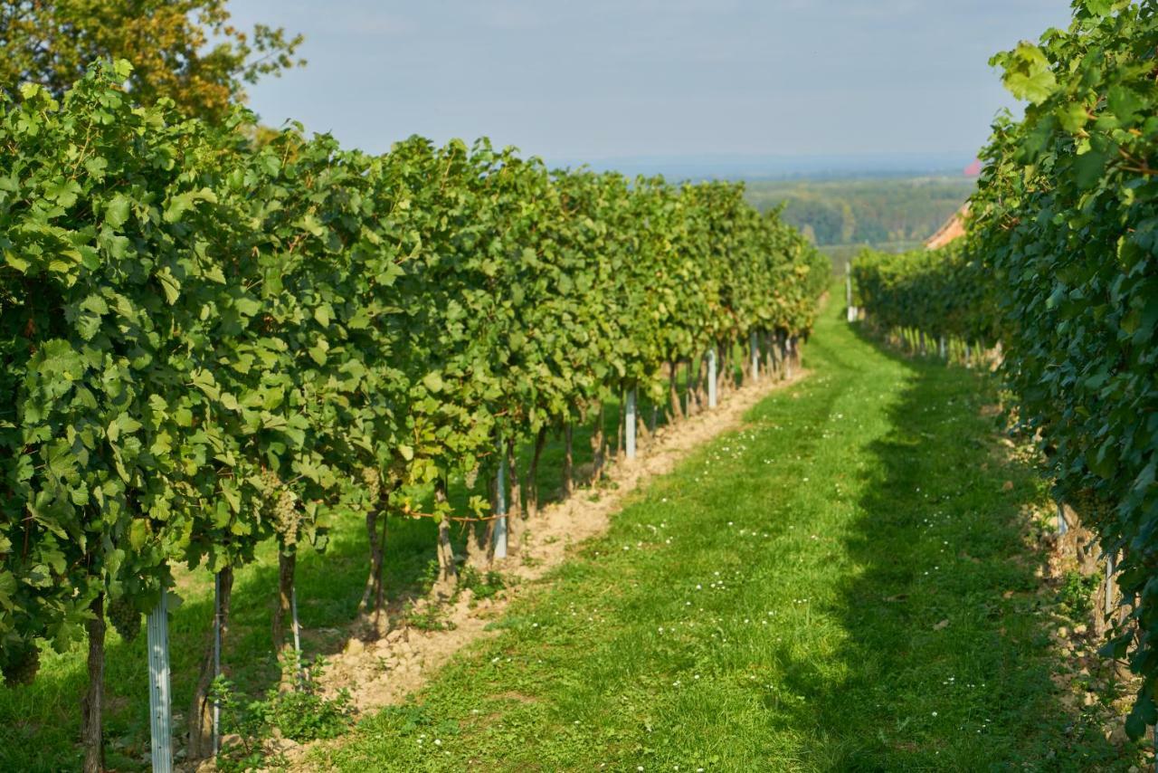 Weinhof - Gaestehaus Maier Angern Zewnętrze zdjęcie
